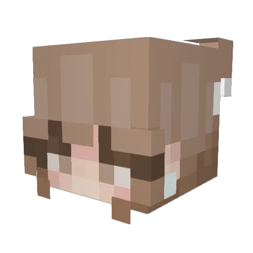 mruczek2137 Minecraft avatar head, 3D render