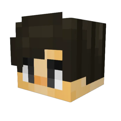 mrwippy11 Minecraft avatar head, 3D render