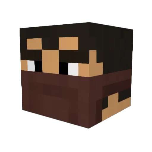 ms7_ Minecraft avatar head, 3D render