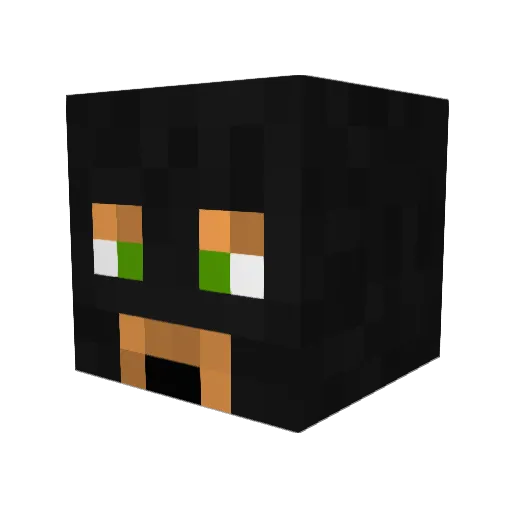 msBB Minecraft avatar head, 3D render