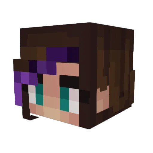 msDyanna Minecraft avatar head, 3D render
