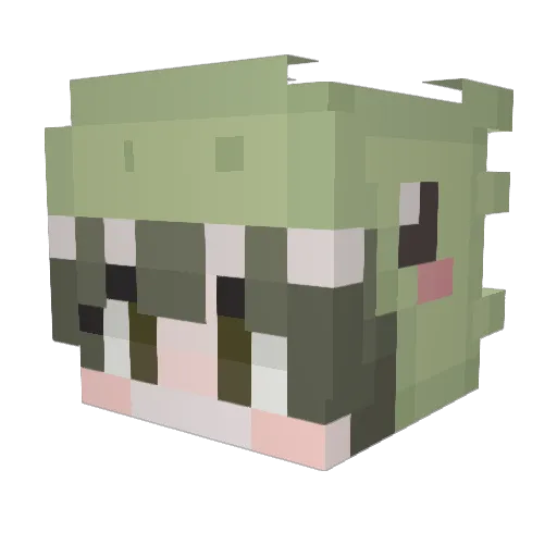 ms_noodle Minecraft avatar head, 3D render