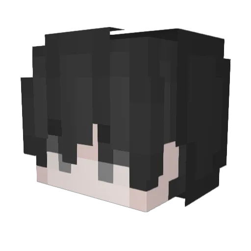 mscasni Minecraft avatar head, 3D render