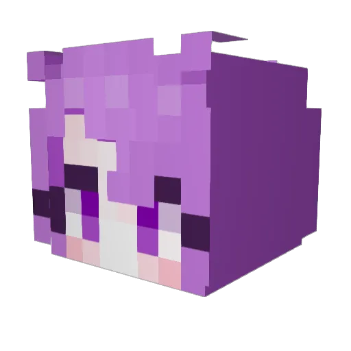 msh425 Minecraft avatar head, 3D render