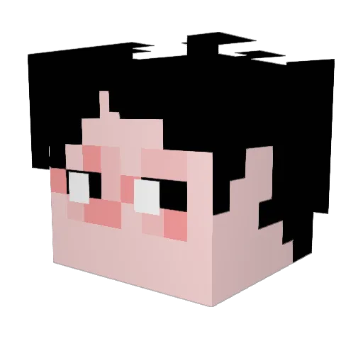 mshandsome Minecraft avatar head, 3D render