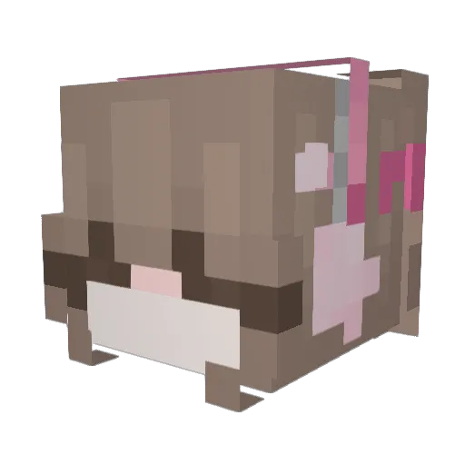 mshawv Minecraft avatar head, 3D render