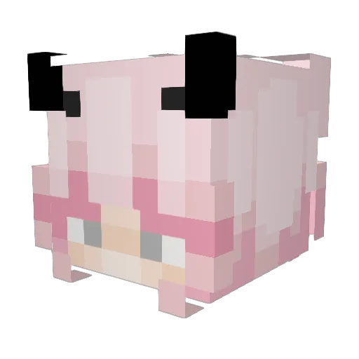 msmortis Minecraft avatar head, 3D render