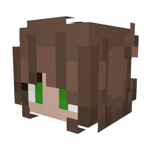 msneta1608 Minecraft avatar head, 3D render