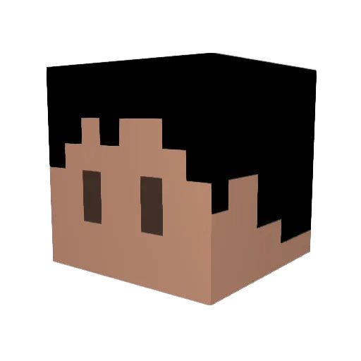 msnflame Minecraft avatar head, 3D render