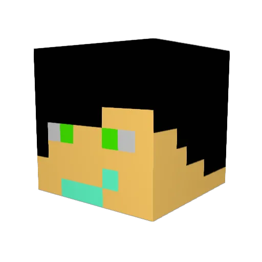 msop10 Minecraft avatar head, 3D render