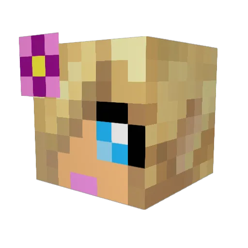 mspartypopper1 Minecraft avatar head, 3D render