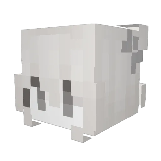 msvwiczka Minecraft avatar head, 3D render