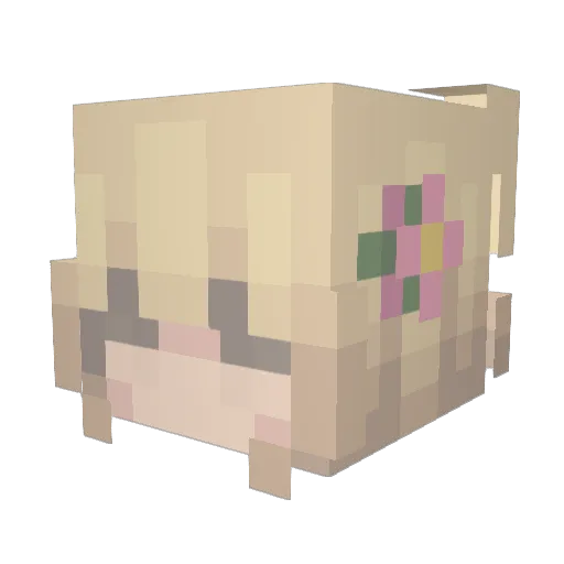 mtani Minecraft avatar head, 3D render