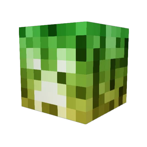 mtb4live Minecraft avatar head, 3D render