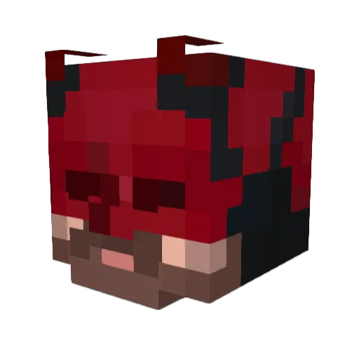 mtbrules Minecraft avatar head, 3D render