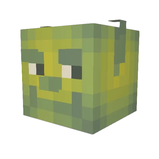 mtillis36 Minecraft avatar head, 3D render
