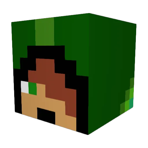 mtoi Minecraft avatar head, 3D render