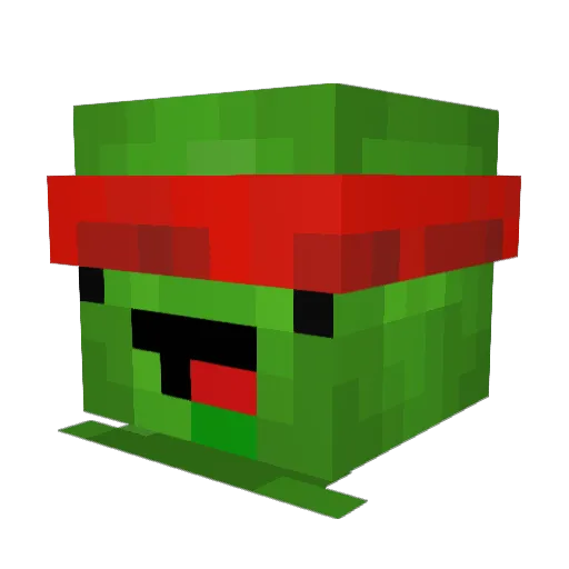 mtvdonny Minecraft avatar head, 3D render