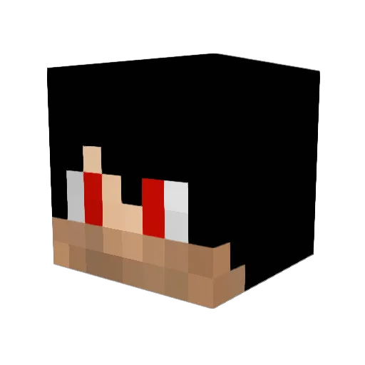 mtx41 Minecraft avatar head, 3D render