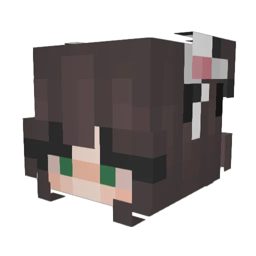 mucchina_ Minecraft avatar head, 3D render