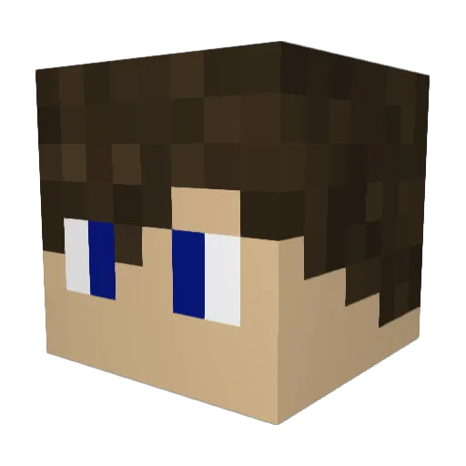 muddybear Minecraft avatar head, 3D render