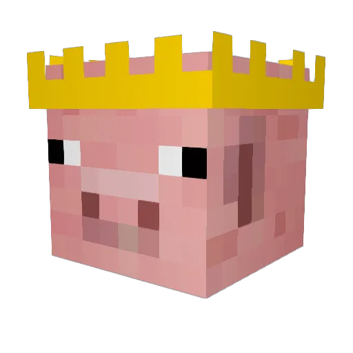 muddypig123 Minecraft avatar head, 3D render