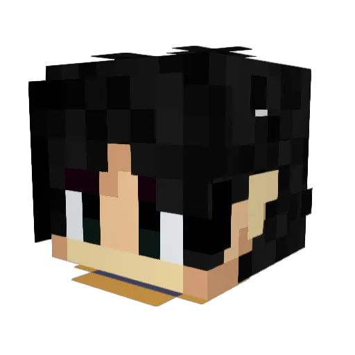 mudkipruls Minecraft avatar head, 3D render