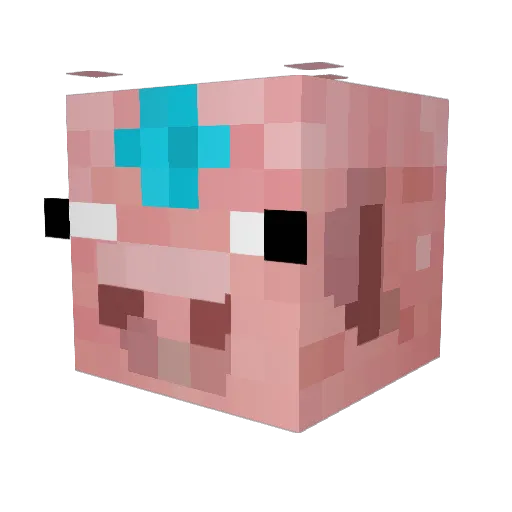 mudndawilderness Minecraft avatar head, 3D render