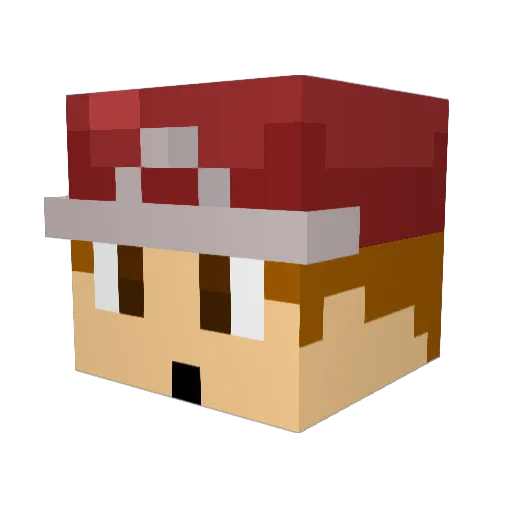 mudpuppy49 Minecraft avatar head, 3D render