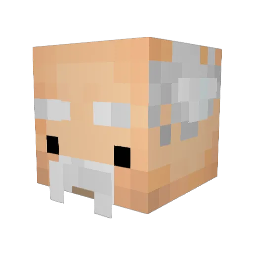 mudwalkin Minecraft avatar head, 3D render