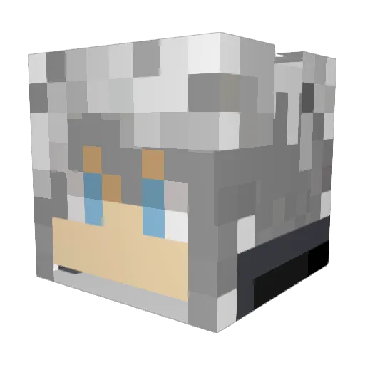 muellex1977 Minecraft avatar head, 3D render