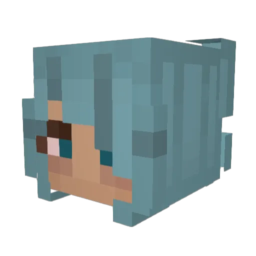 muercik_ Minecraft avatar head, 3D render