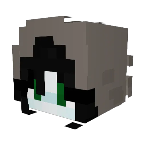 muffeet Minecraft avatar head, 3D render