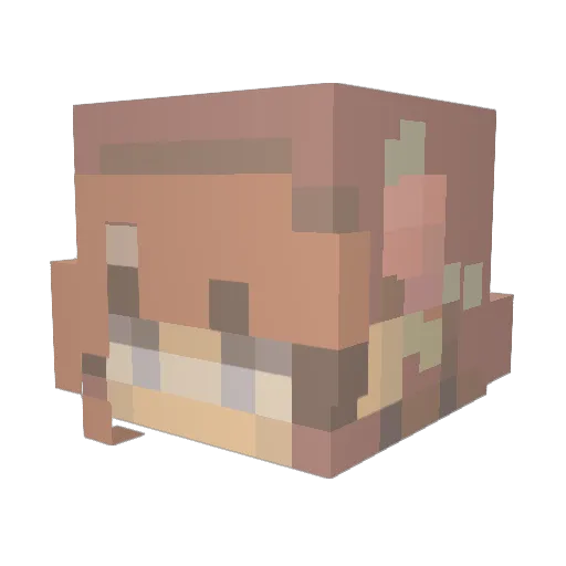 muffin4life Minecraft avatar head, 3D render
