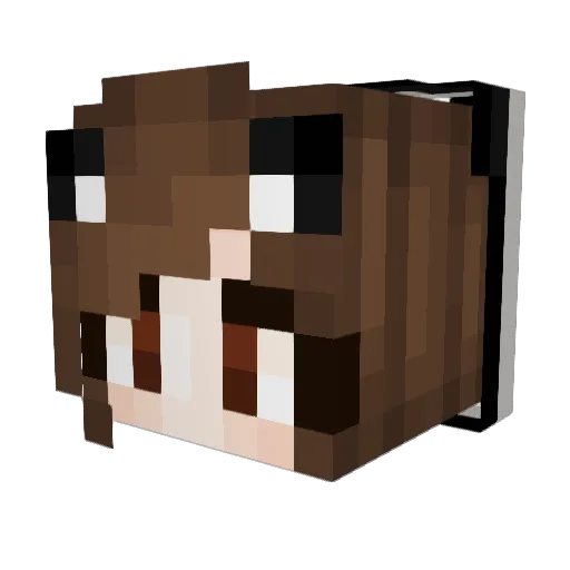muffinpotter Minecraft avatar head, 3D render