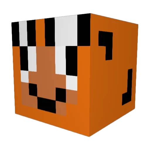muiz1 Minecraft avatar head, 3D render