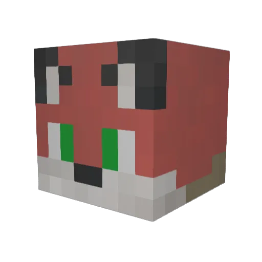 mujahidcamel Minecraft avatar head, 3D render