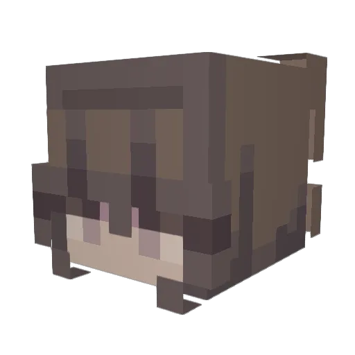 mukimann8 Minecraft avatar head, 3D render