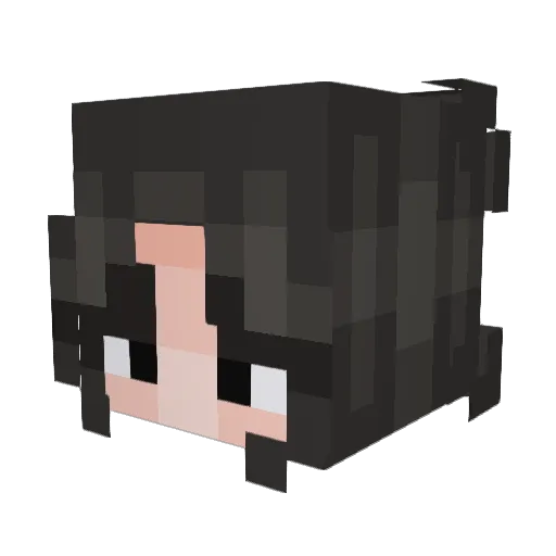 mulan225 Minecraft avatar head, 3D render