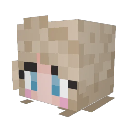 mulbe3rr Minecraft avatar head, 3D render