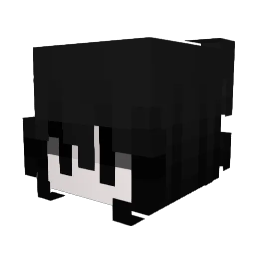 mulherdefranja Minecraft avatar head, 3D render