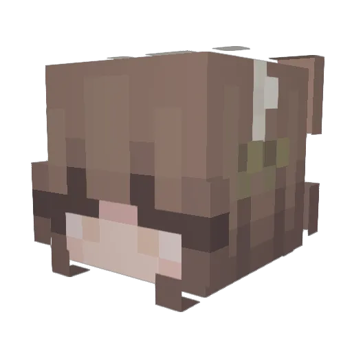 multiplestrings Minecraft avatar head, 3D render