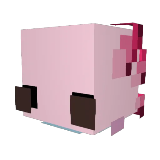 mummydidit Minecraft avatar head, 3D render