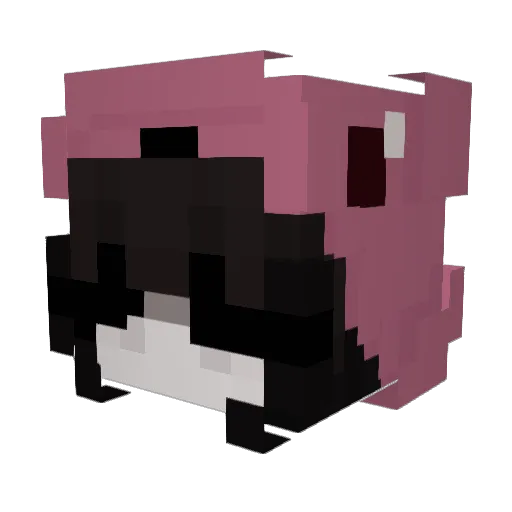 munecaprincesa Minecraft avatar head, 3D render