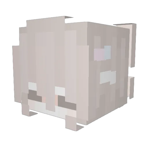 mung1127 Minecraft avatar head, 3D render