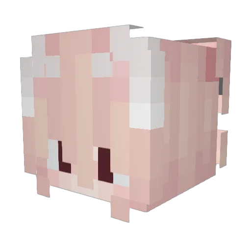 mung_moong2 Minecraft avatar head, 3D render