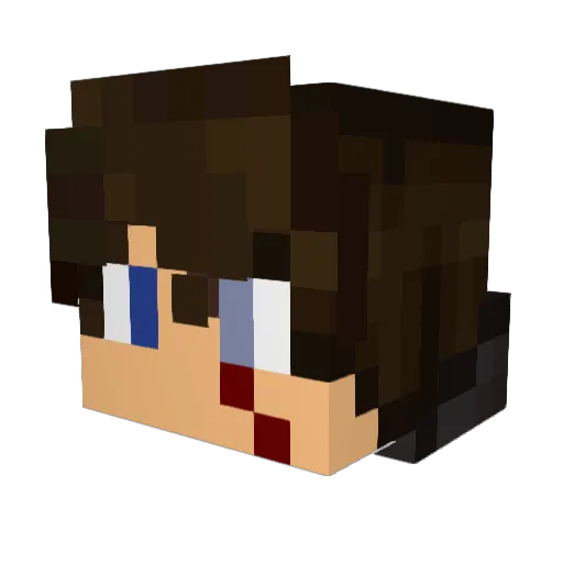 mungus8 Minecraft avatar head, 3D render