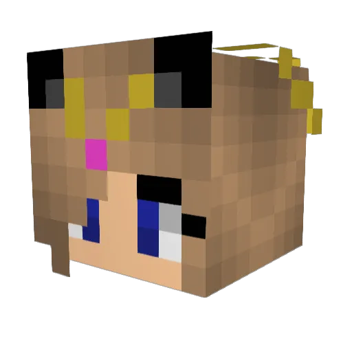 munkeysuncle Minecraft avatar head, 3D render