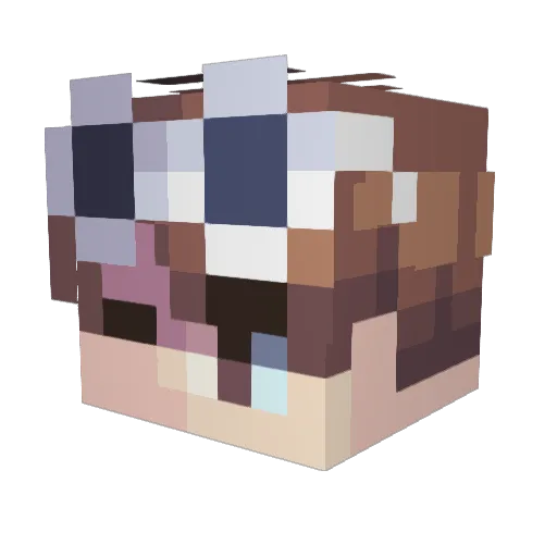 munkiiez Minecraft avatar head, 3D render