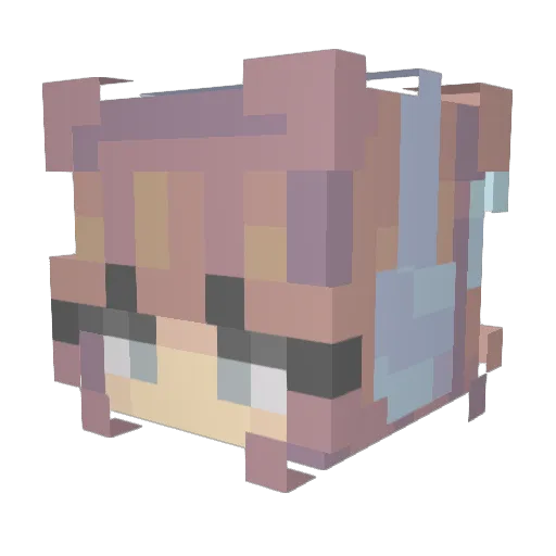 munrohannah6 Minecraft avatar head, 3D render